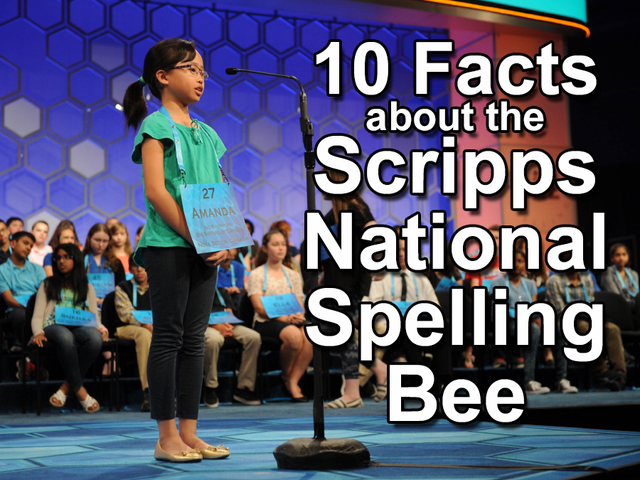 Creekside Middle School student hopes third trip to national bee spells success