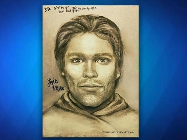 Stormy Daniels unveils sketch of man who 'threatened' her